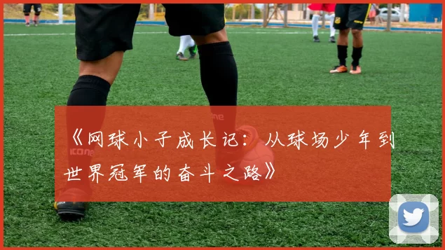 《网球小子成长记：从球场少年到世界冠军的奋斗之路》