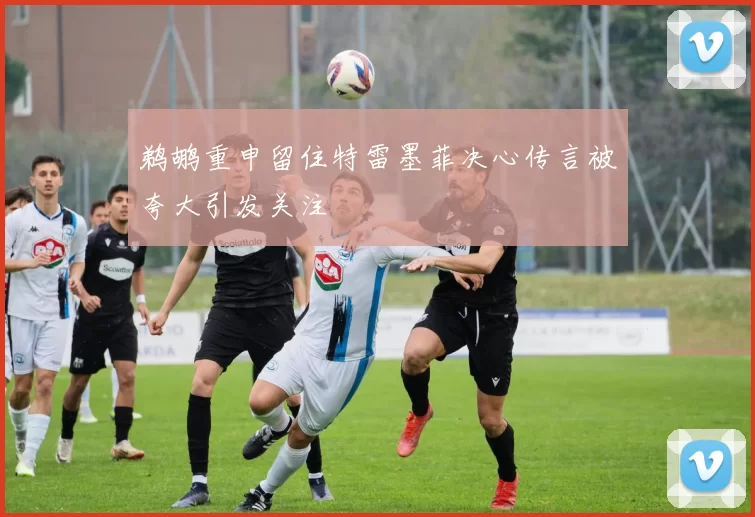 鹈鹕重申留住特雷墨菲决心传言被夸大引发关注