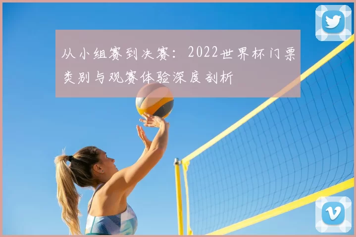 从小组赛到决赛：2022世界杯门票类别与观赛体验深度剖析