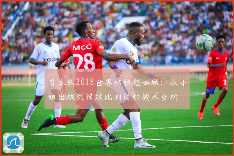日本队2018世界杯征程回顾:从小组出线到惜败比利时的战术分析