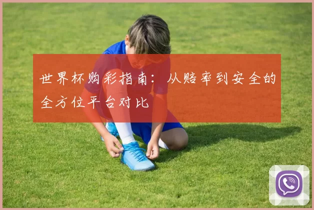 世界杯购彩指南:从赔率到安全的全方位平台对比