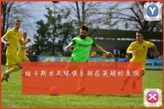 纽卡斯尔足球俱乐部在英超的表现