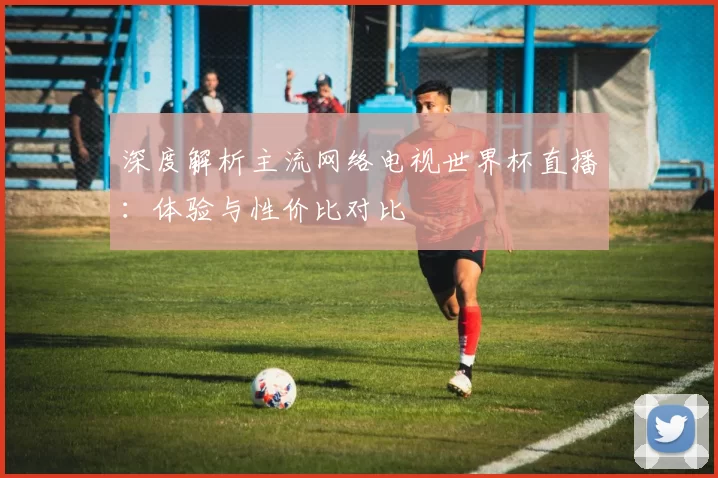 深度解析主流网络电视世界杯直播：体验与性价比对比