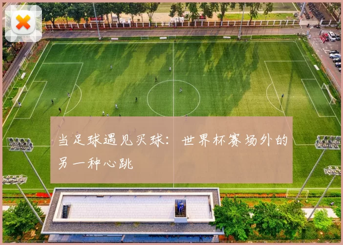 当足球遇见买球：世界杯赛场外的另一种心跳