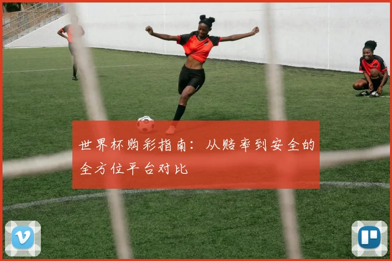 世界杯购彩指南：从赔率到安全的全方位平台对比