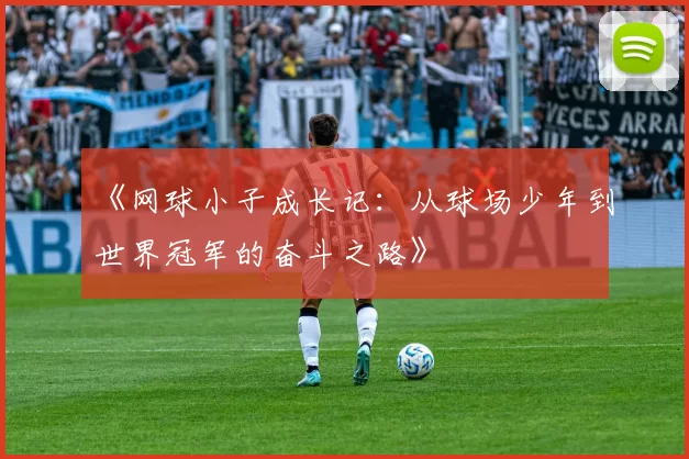 《网球小子成长记：从球场少年到世界冠军的奋斗之路》