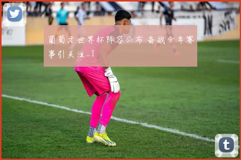 葡萄牙世界杯阵容公布 备战今年赛事引关注_1