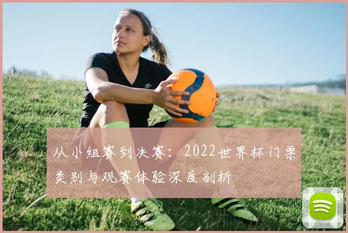 从小组赛到决赛：2022世界杯门票类别与观赛体验深度剖析