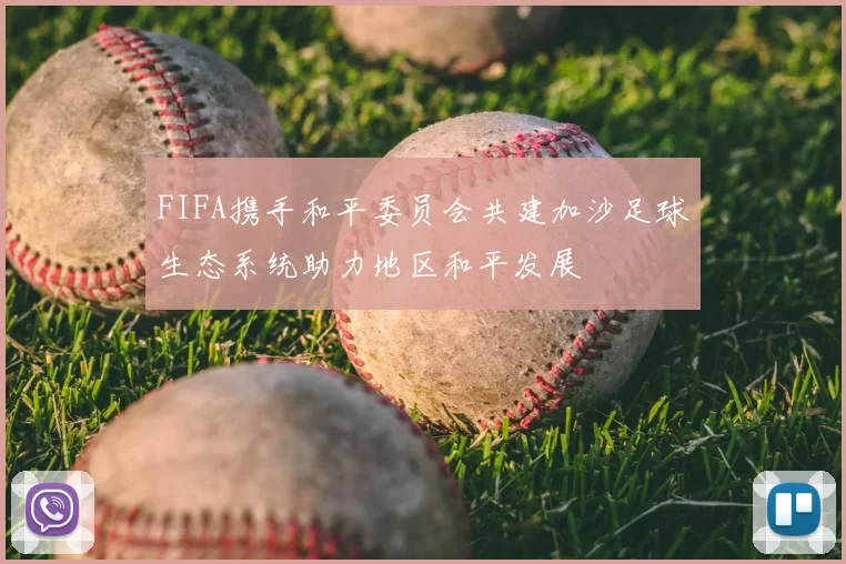 FIFA携手和平委员会共建加沙足球生态系统助力地区和平发展