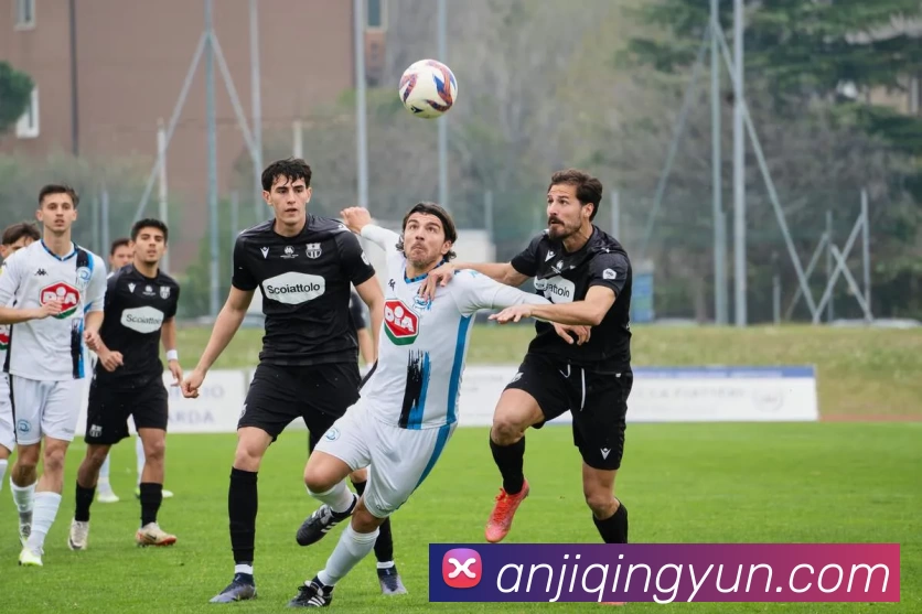 亚新官网发展历程